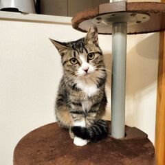 一人っ子希望♪スリゴロ女の子です(*^^*)
