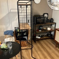 早い者勝ち　収納ラックの画像