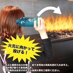 Fitech  投てき用消火用具の画像