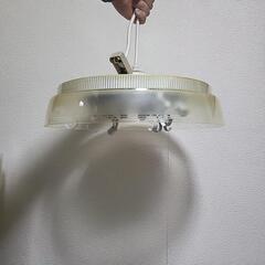 電気かさ
