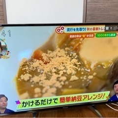 パナソニック　テレビ　VIERA EX750 TH-49EX75...