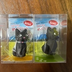 阿蘇の黒猫　めくりちゃん