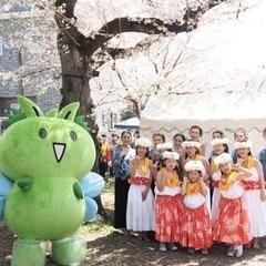 【久米川駅近】フラ無料体験 受付中！　　Purotu Ohashi (プロツオオハシ)の画像