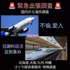 夫の出張.妻の出張調査【実は嘘】アリバイ工作出張不倫密会.探偵事務所東京横浜川崎 - 地元のお店