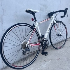 アロエ 観葉植物 在宅勤務の癒やしに【美品】TREK ONE SERIES 1.1