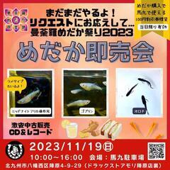 急遽開催！11月19日㈰めだか祭り開催します！！