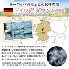 西川 羽毛布団 シングルの画像