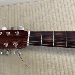 モーリス　ギターの画像
