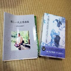 ★価格変更★未使用★大正琴の画像