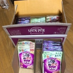 カルカンパウチの中古が安い！激安で譲ります・無料であげます