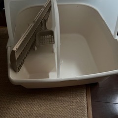 猫 トイレの画像