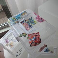 100均で買った収納ケースの画像