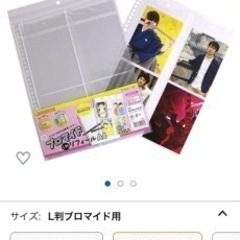 L版写真用 30穴ファイル 30枚！！