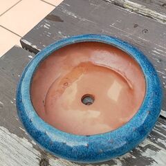 盆栽鉢