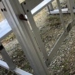 ひな壇　集合写真に　お値下げしました！の画像