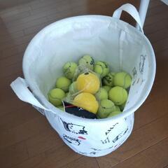 （あげます）テニスボールとスポンジボールの画像