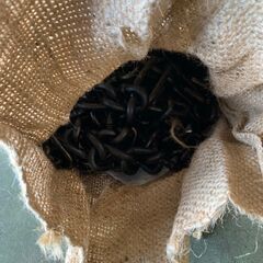 【日電製鎖】 金属製タイヤチェーン 8×9サイズ 大型トラック バス用 89105 新品の画像