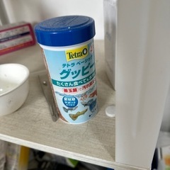 水槽一式の画像