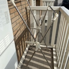 11月16日取りに来れる方優先‼️の画像