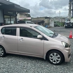 プレオプラスの画像