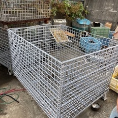 パレティーナ