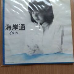 海岸通 イルカ レコード