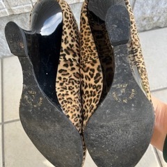 ヒョウ柄 パンプスの画像