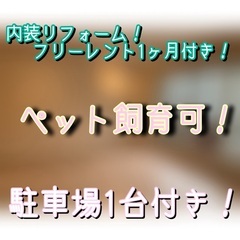 【賃貸】叶★フリーレント１ヶ月✨新着物件✨来店不要でご入居も可能...