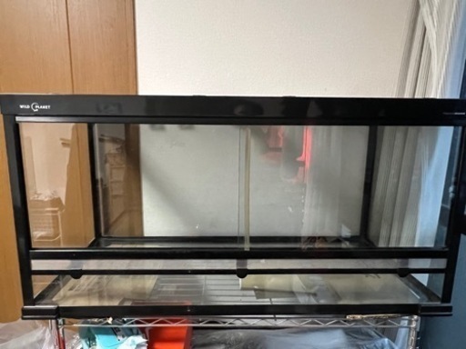 ワイルドプラネット　WP1050