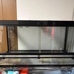 ワイルドプラネット　WP1050