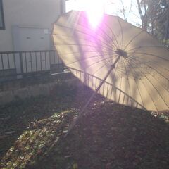 ガーデニング用パラソルの画像