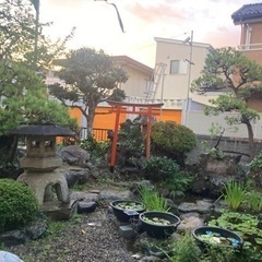 お庭のお手入れお手伝いします。