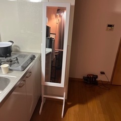 全身鏡 スタンドミラー 収納付きの画像