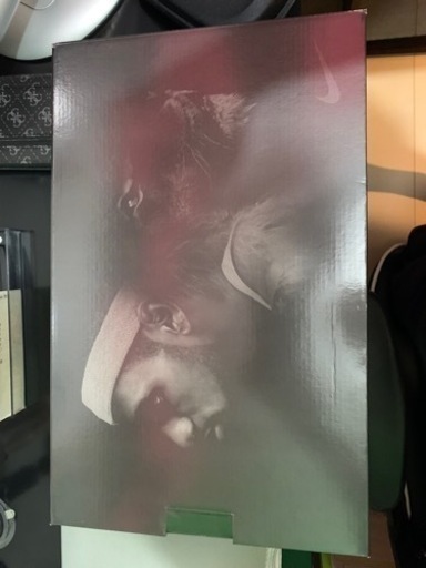 スニーカー Lebron 8 x Space Jam