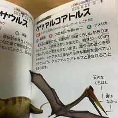 恐竜なんでも全百科の画像