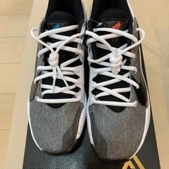 Zoom Freak 2 の画像