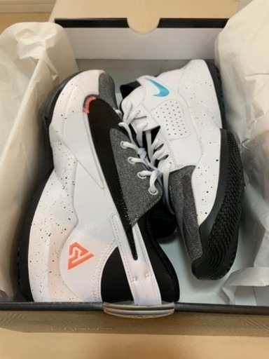 Zoom Freak 2 