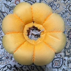 ペット用　エリザベスカラーの画像