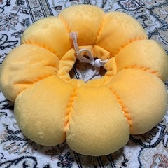 ペット用　エリザベスカラーの画像