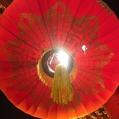 飲み友達（日曜夜、木曜夜限定）