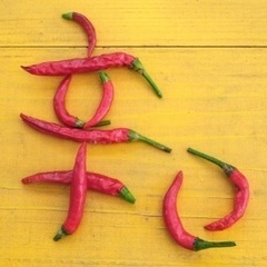 とうきょう✨激辛部🌶️ - 友達