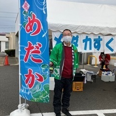 本日開催　メダカすくい　1回　500円