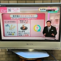 ◎お値下げしました‼️ 【断捨離中】Panasonic VIER...
