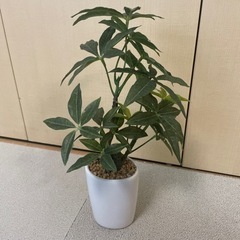 造花 人工植物 差し上げますの画像