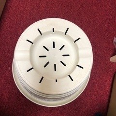 中古　観葉植物の鉢（プラ）12号の画像