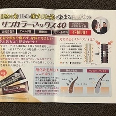 ★サンカラーマックス(日光や蛍光灯の光で染まるノンジアミン白髪染め)ハーフサイズの画像