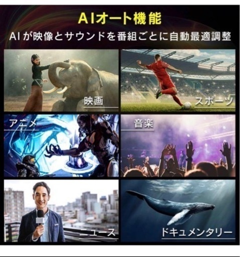 新品未開封 アイリスオーヤマ 55V型 4Kチューナー内蔵 液晶テレビ LUCA 55XUC38VC 2番組同時録画対応