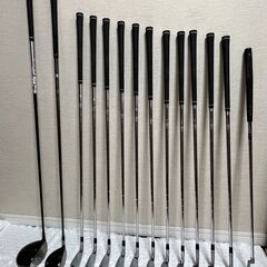 Titleist ゴルフクラブセット 初心者・中級者　右利き用　クラブのみ