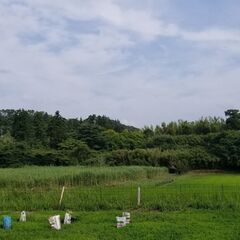 ★★　広大な５９１坪の山でキャンプや秘密基地作り　★★ − 千葉県