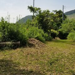 ★★　広大な５９１坪の山でキャンプや秘密基地作り　★★ - 土地販売/土地売買